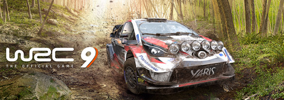 WRC 9 FIA World Rally Championship (Epic Games Store)