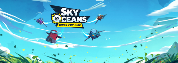 Sky Oceans: Wings for Hire